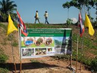 โครงการ รักน้ำ รักป่า รักษาแผ่นดิน