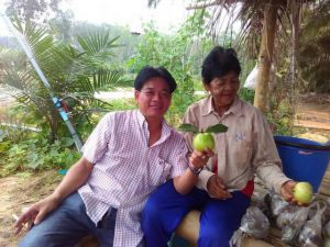 ตรวจเยื่ยม องค์การบริหารส่วนตำบลเคียนซา และพื้นที่เศรษฐกิจพอเพียง หมู่ที 7 บ้านปลายหริก อำเภอเคียนซา