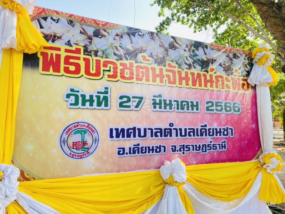 ร่วมพิธีบวชต้นจันทน์กะพ้อ “เทศกาลจันทน์กะพ้อบานที่เคียนซา"